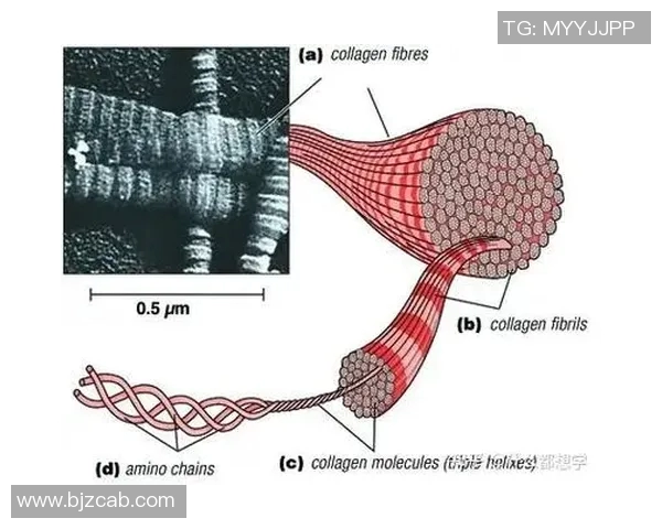 于德豪的创新之路：从科技先锋到行业领军者的成长历程与未来展望