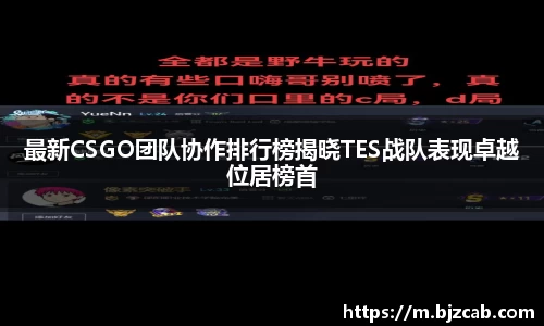 最新CSGO团队协作排行榜揭晓TES战队表现卓越位居榜首