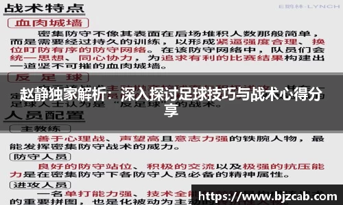 赵静独家解析：深入探讨足球技巧与战术心得分享